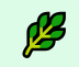 Prayer Garden Logo